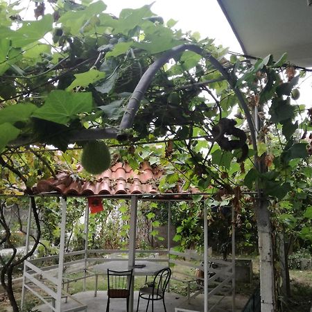 דורס Villa Osmani מראה חיצוני תמונה