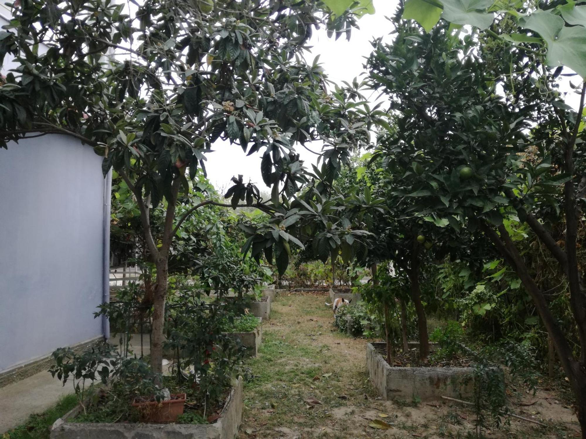 דורס Villa Osmani מראה חיצוני תמונה